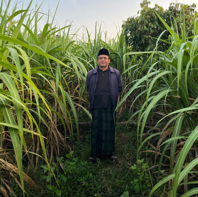
					PT GMM Bulog Hentikan Musim Giling 2025, Petani Blora Masih Cari Solusi